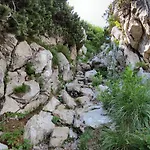 Calla Σαλέ Mrkopalj
